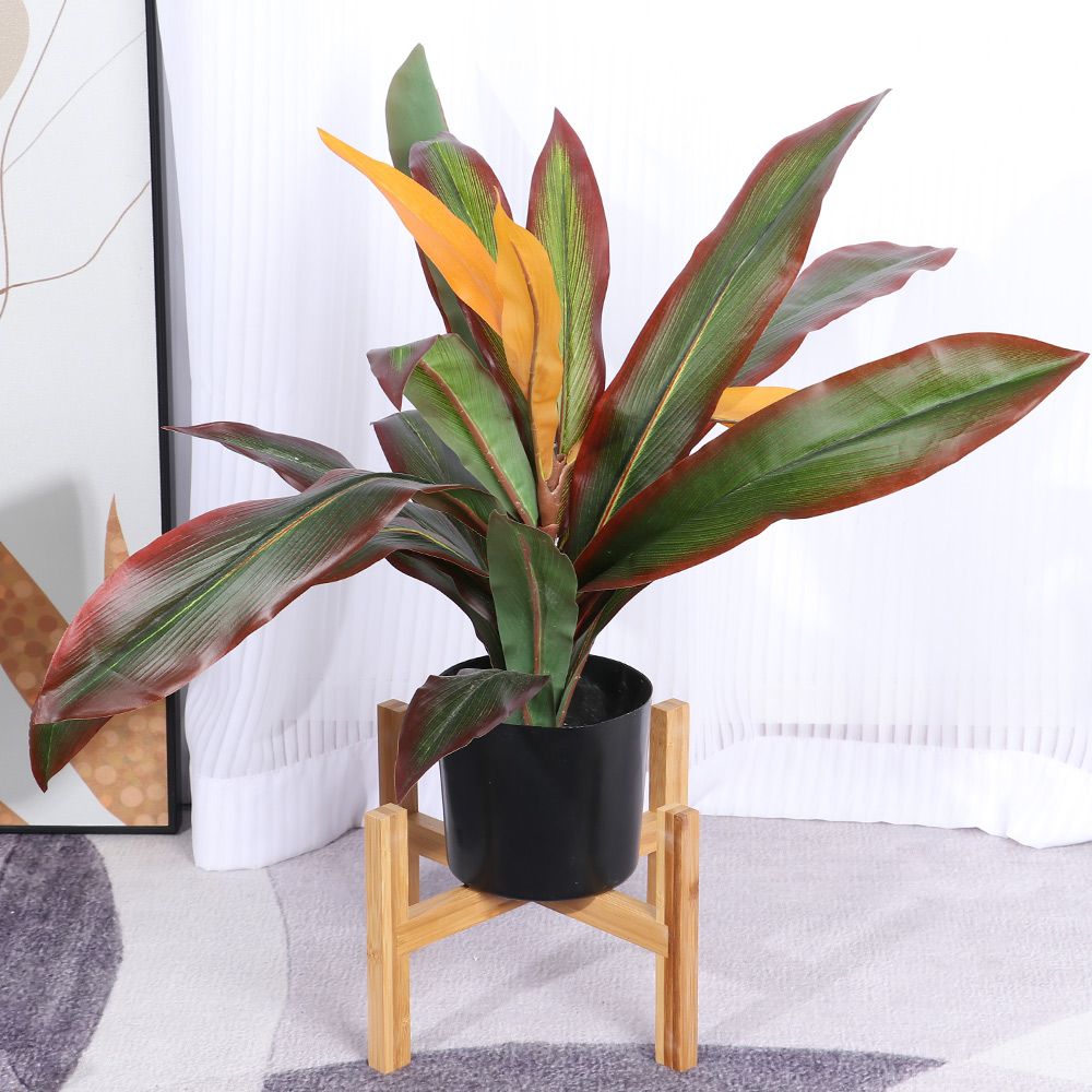 Drewniana uchwyt na doniczkę s – Bonsai Garden Indoor recenzja i cena