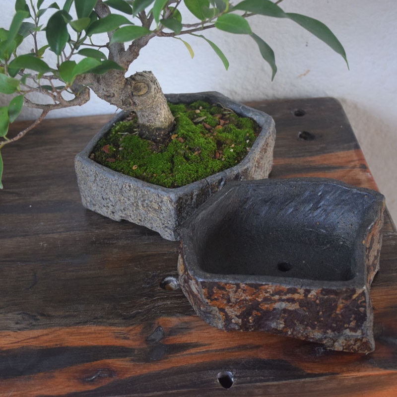 Donica z naturalnego kamienia  – Bonsai Garden Indoor recenzja i cena