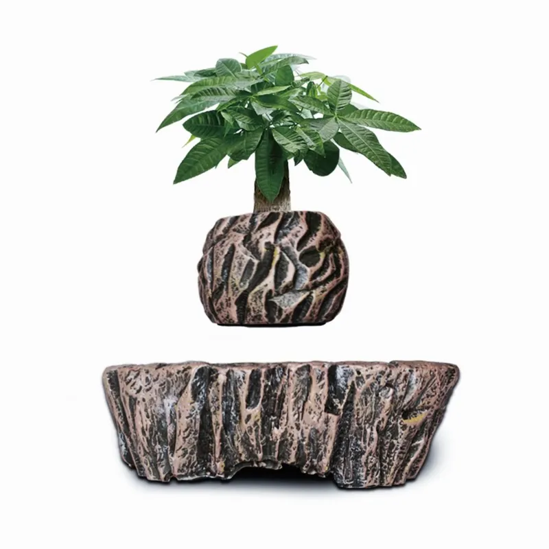 Elektryczna magnetyczna lewita – Bonsai Vertical Garden recenzja i cena