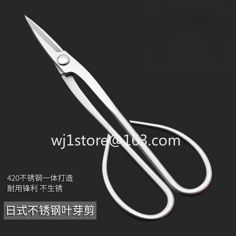 Nożyce do bonsai ze stali nier – Root Hook Tool recenzja i cena