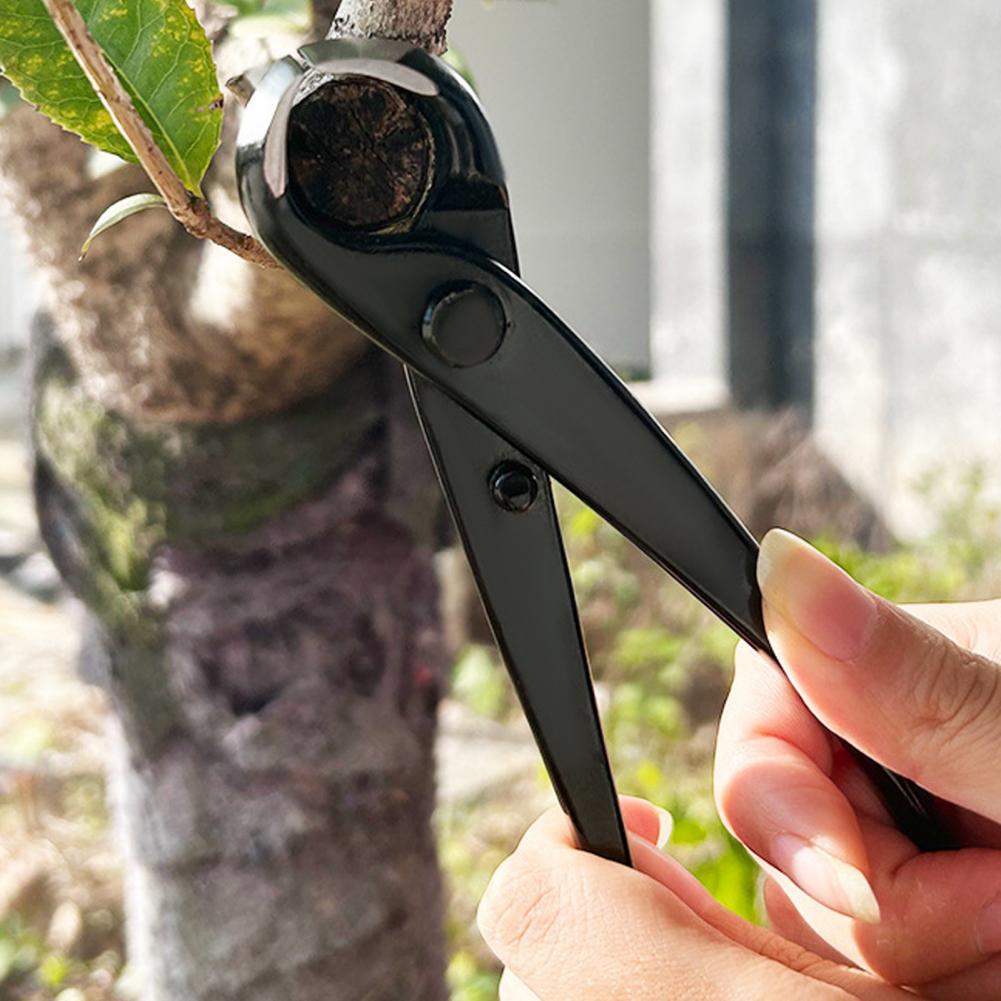 Obcinak do gałęzi bonsai z wkl – Concave Branch Cutter recenzja i cena