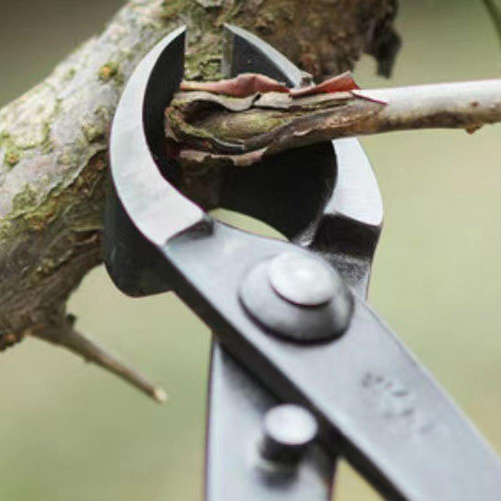 Obcinak do gałęzi bonsai z wkl – Concave Branch Cutter recenzja i cena