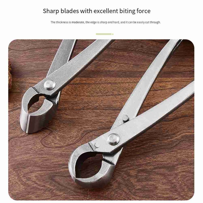 Narzędzia do Bonsai ABAE, 4-cz – Root Hook Tool recenzja i cena