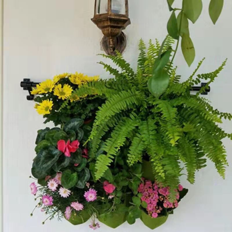 Wisząca na ścianie torba do sa – Bonsai Vertical Garden recenzja i cena