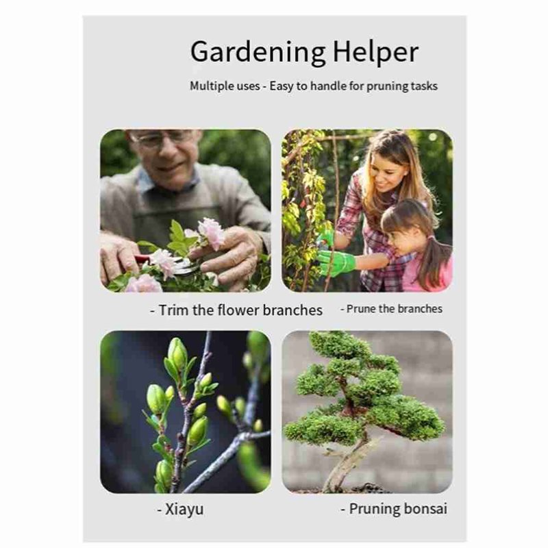 Narzędzia do Bonsai ABGH, 4-cz – Root Hook Tool recenzja i cena