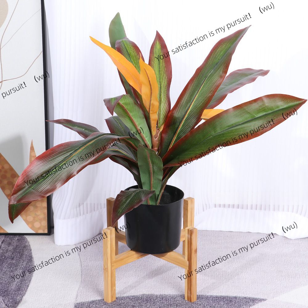 Drewniany pionowy stojak na bo – Bonsai Vertical Garden recenzja i cena