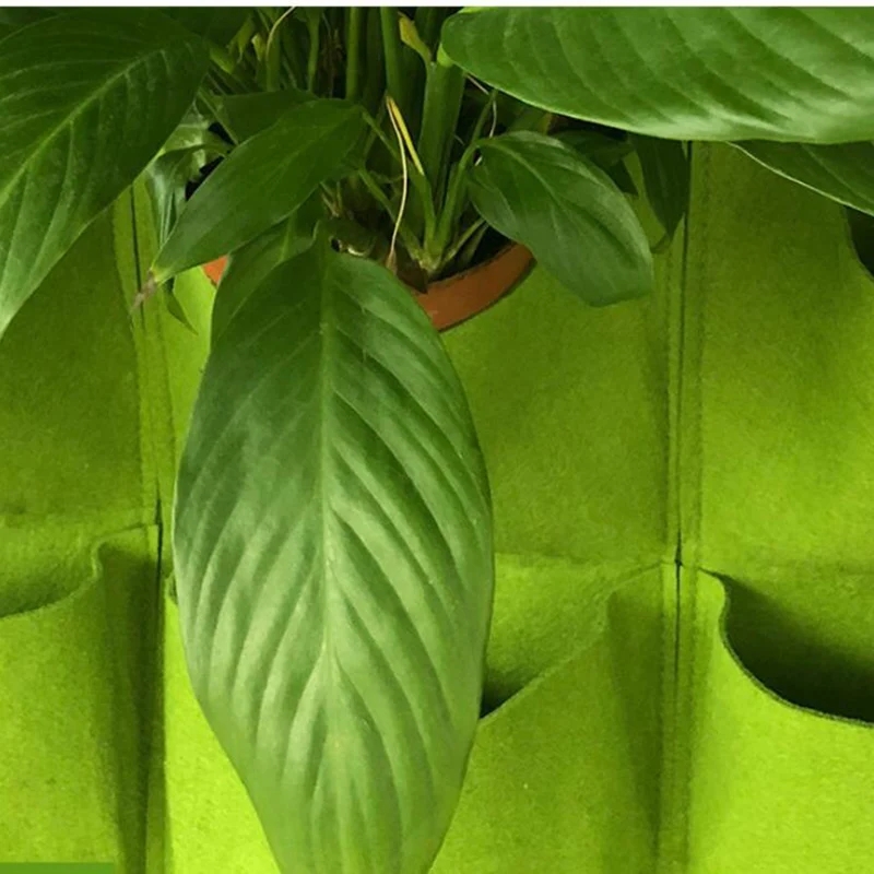 Wisząca donica ścienna z wielo – Bonsai Vertical Garden recenzja i cena