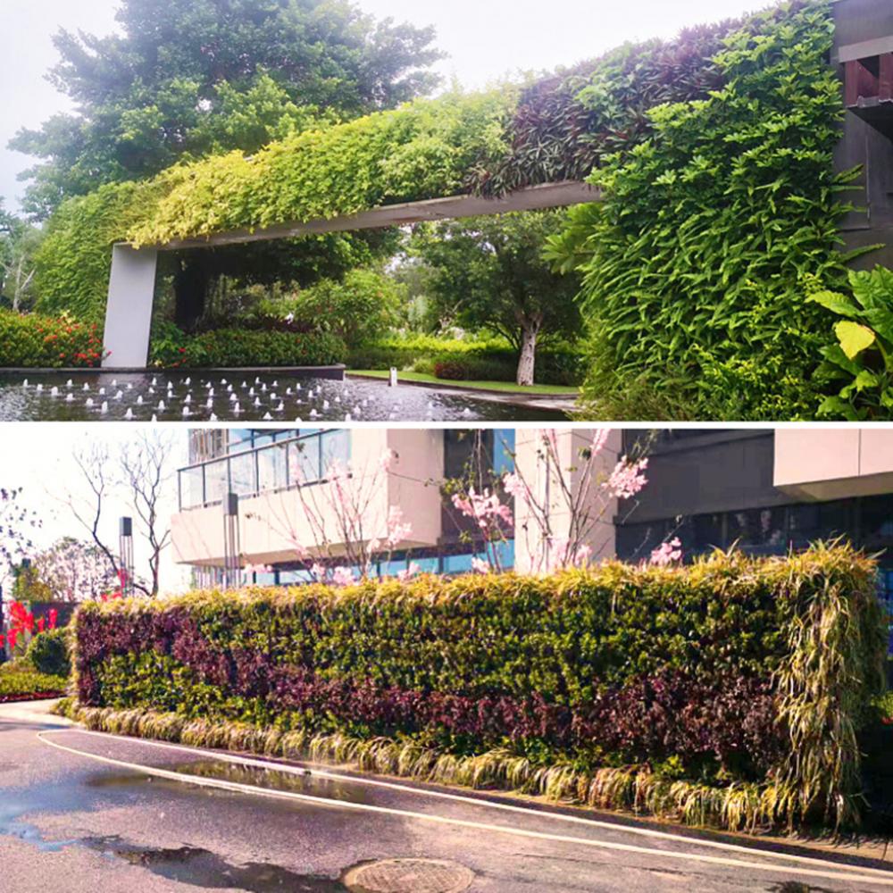 Naścienna skrzynka leśna z wie – Bonsai Vertical Garden recenzja i cena